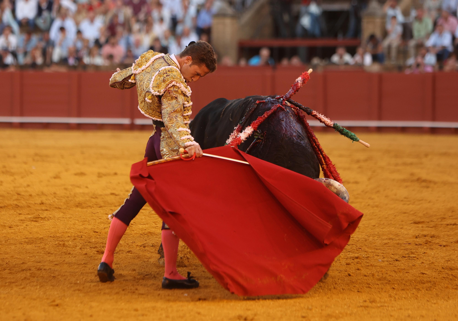 Las mejores imágenes de la corrida de hoy
