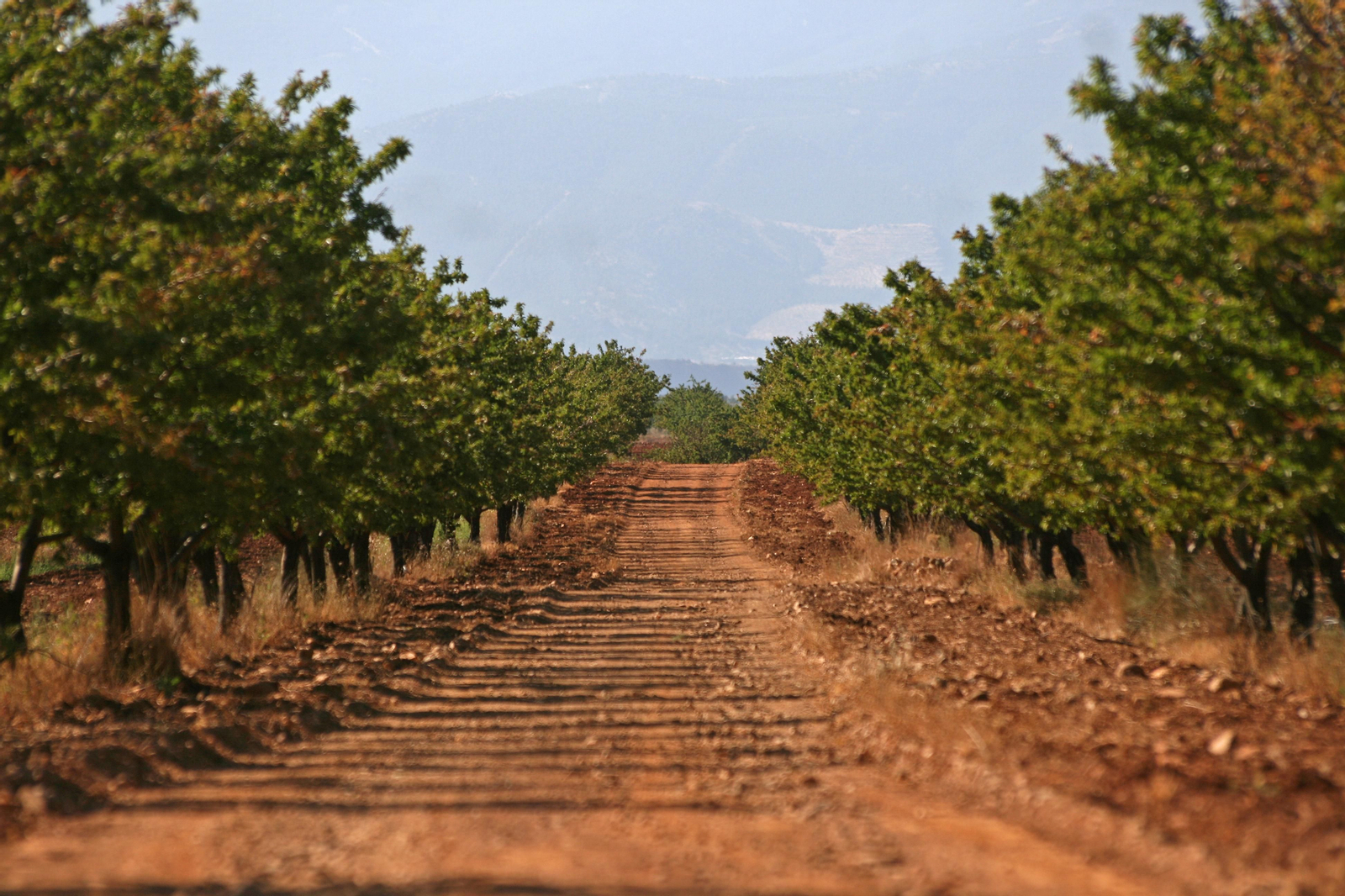 Fotos del Geoparque de Granada, incluido en la Red Mundial de la Unesco