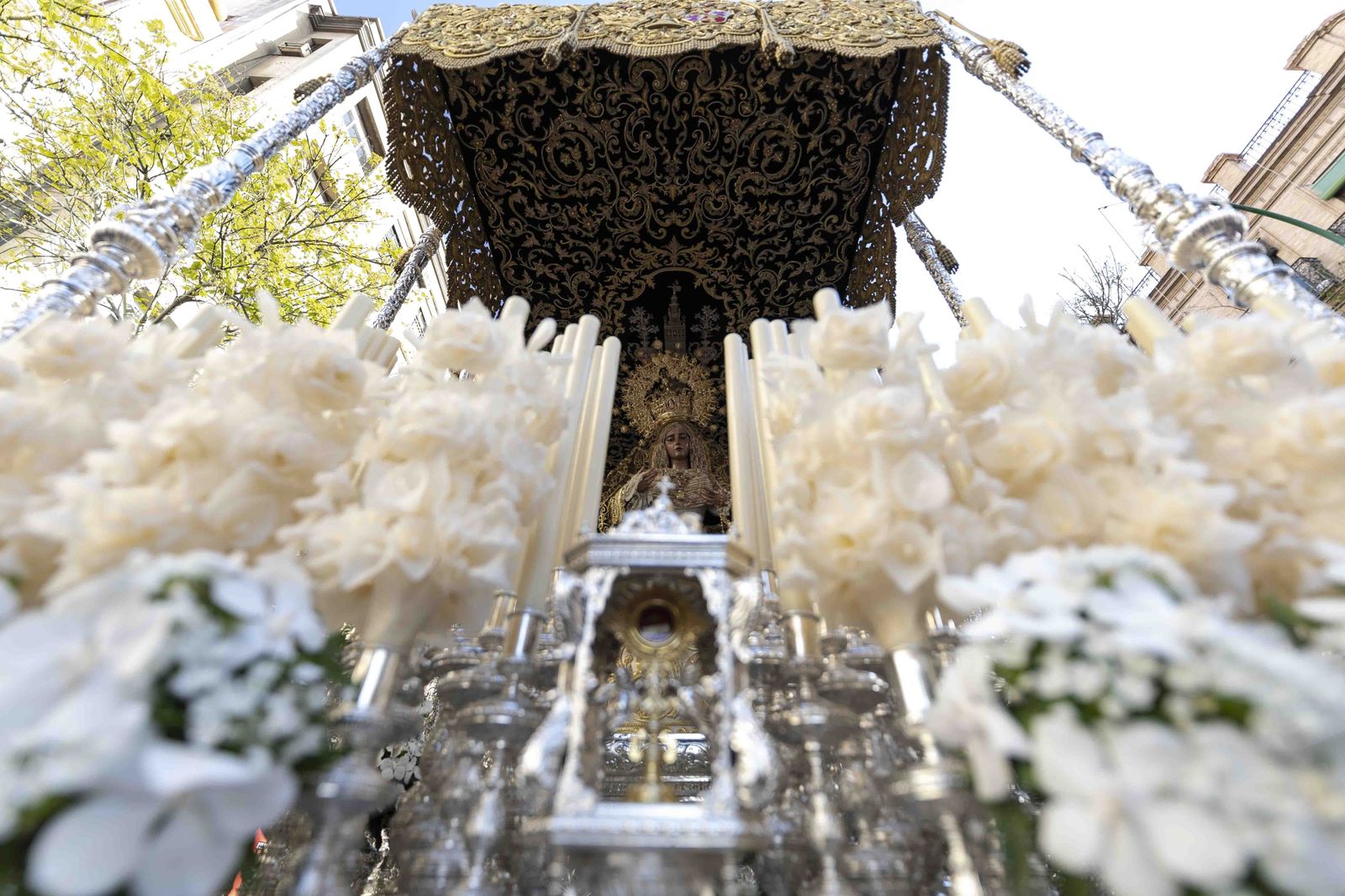 Las imágenes del Domingo de Ramos en Sevilla