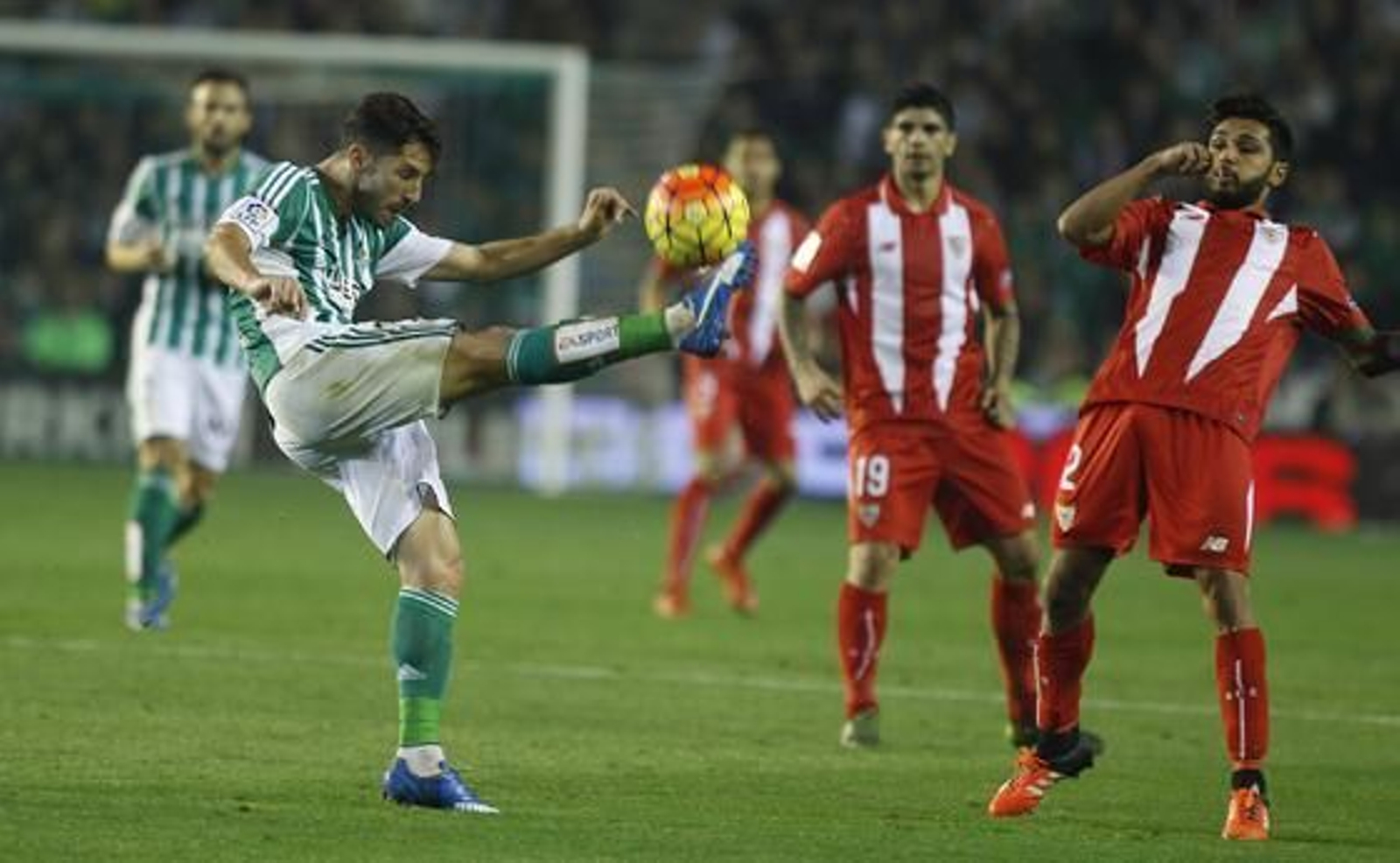 Foto: A. Pizarro/J.C. Muñoz