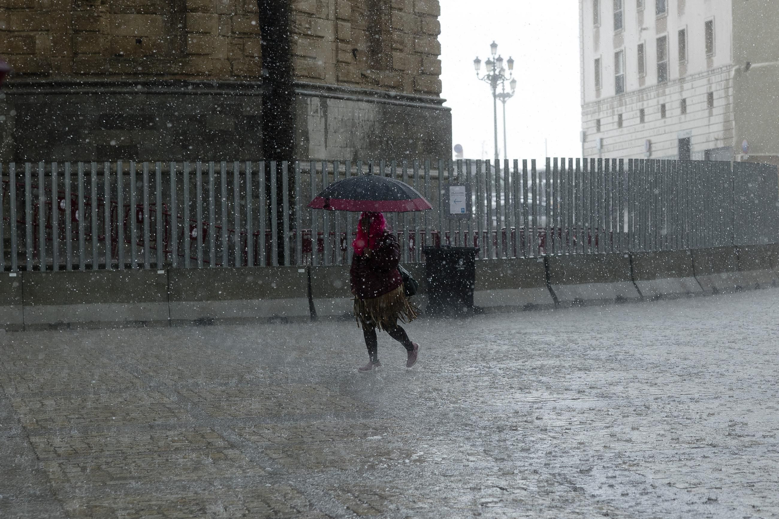Las mejores imágenes del primer domingo de Carnaval de Cádiz