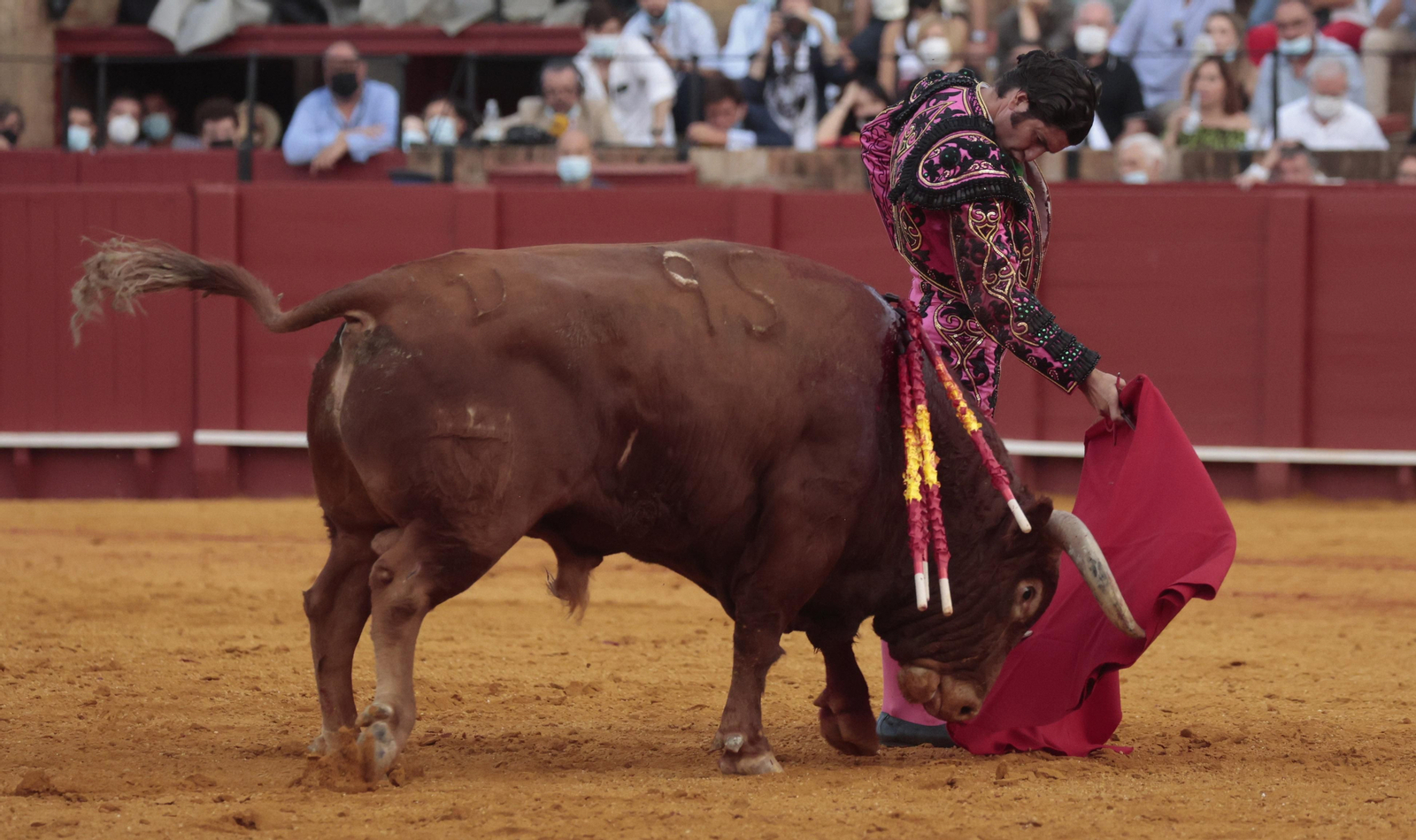 Las imágenes del triunfo de Morante en San Miguel