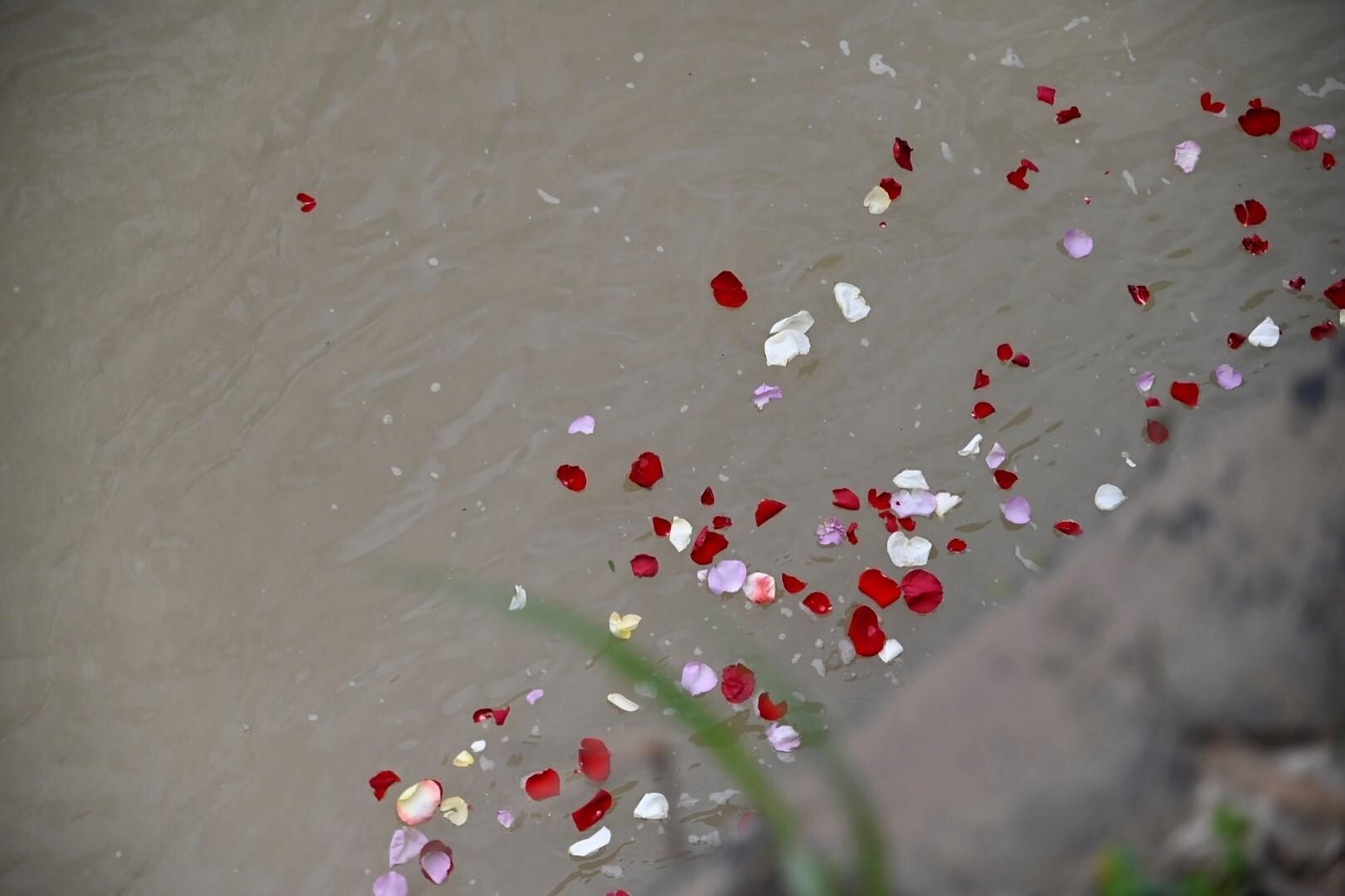 La Ceremonia del Río en Córdoba por el Día del Pueblo Gitano, en imágenes
