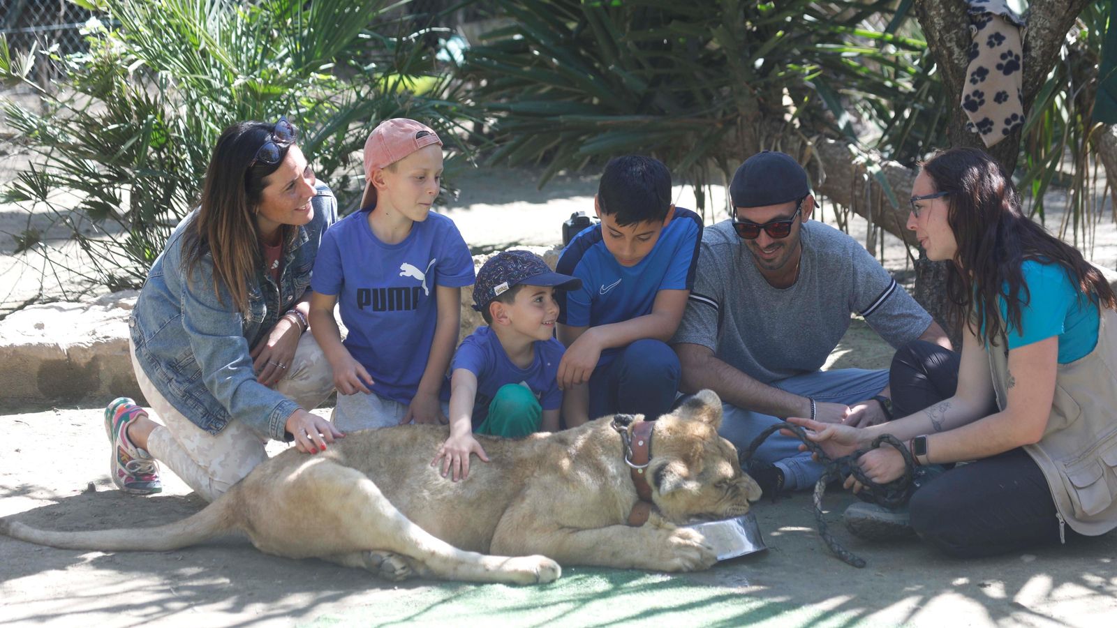 La leona Perla de 'La Pequeña África'