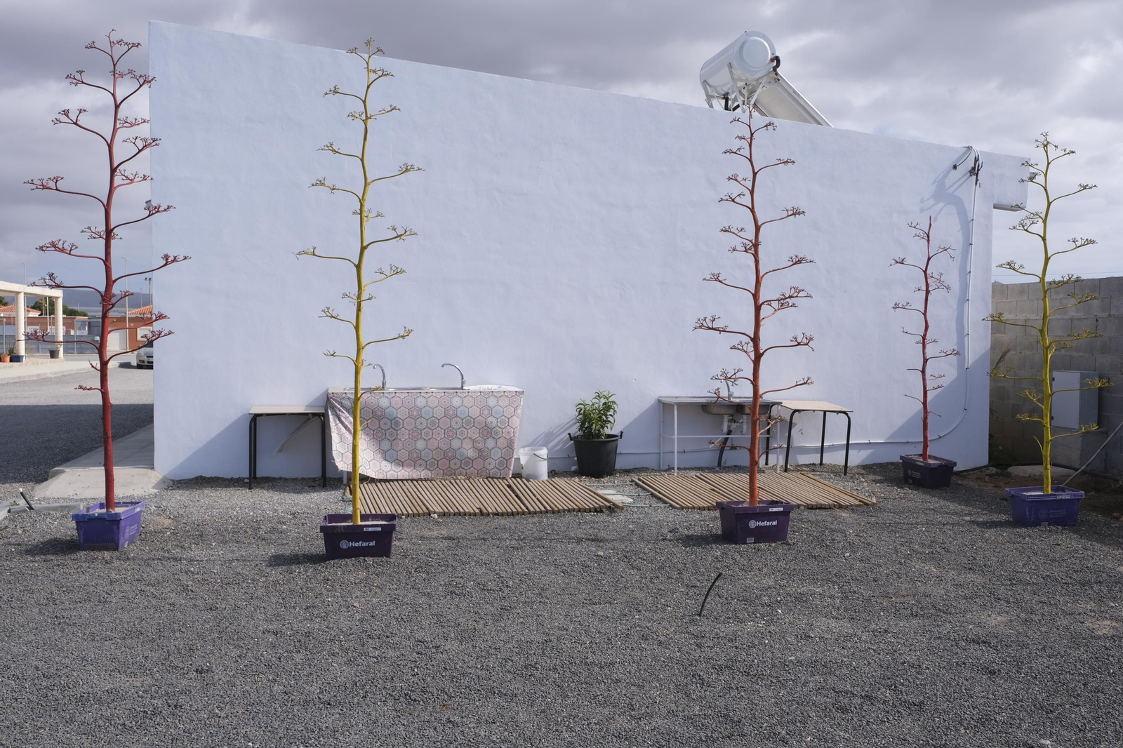 Imágenes de las autocaravanas estacionadas en Cabo de Gata.