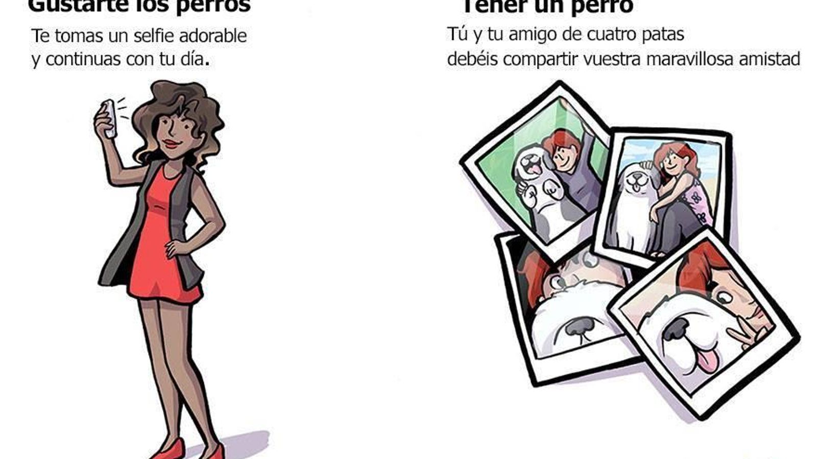 Gustarte los perros 5