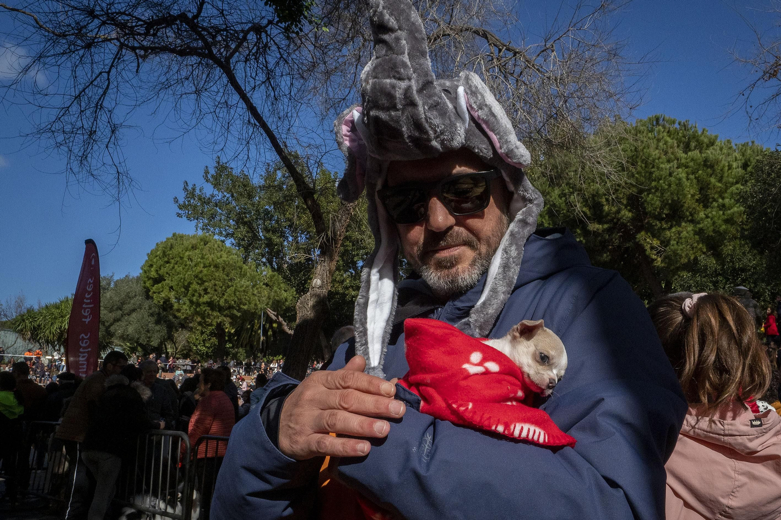 Las imágenes de la fiesta de San Antón en San Fernando