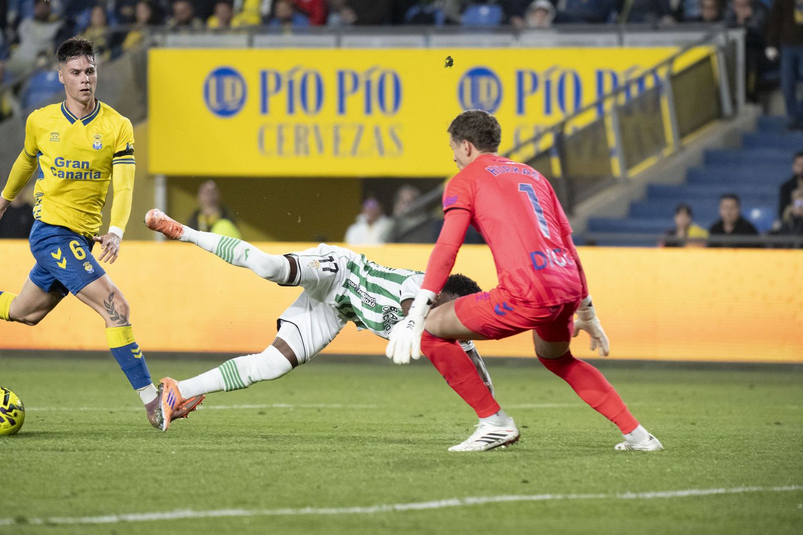 Las mejores fotos del triunfo del Córdoba CF ante Las Palmas