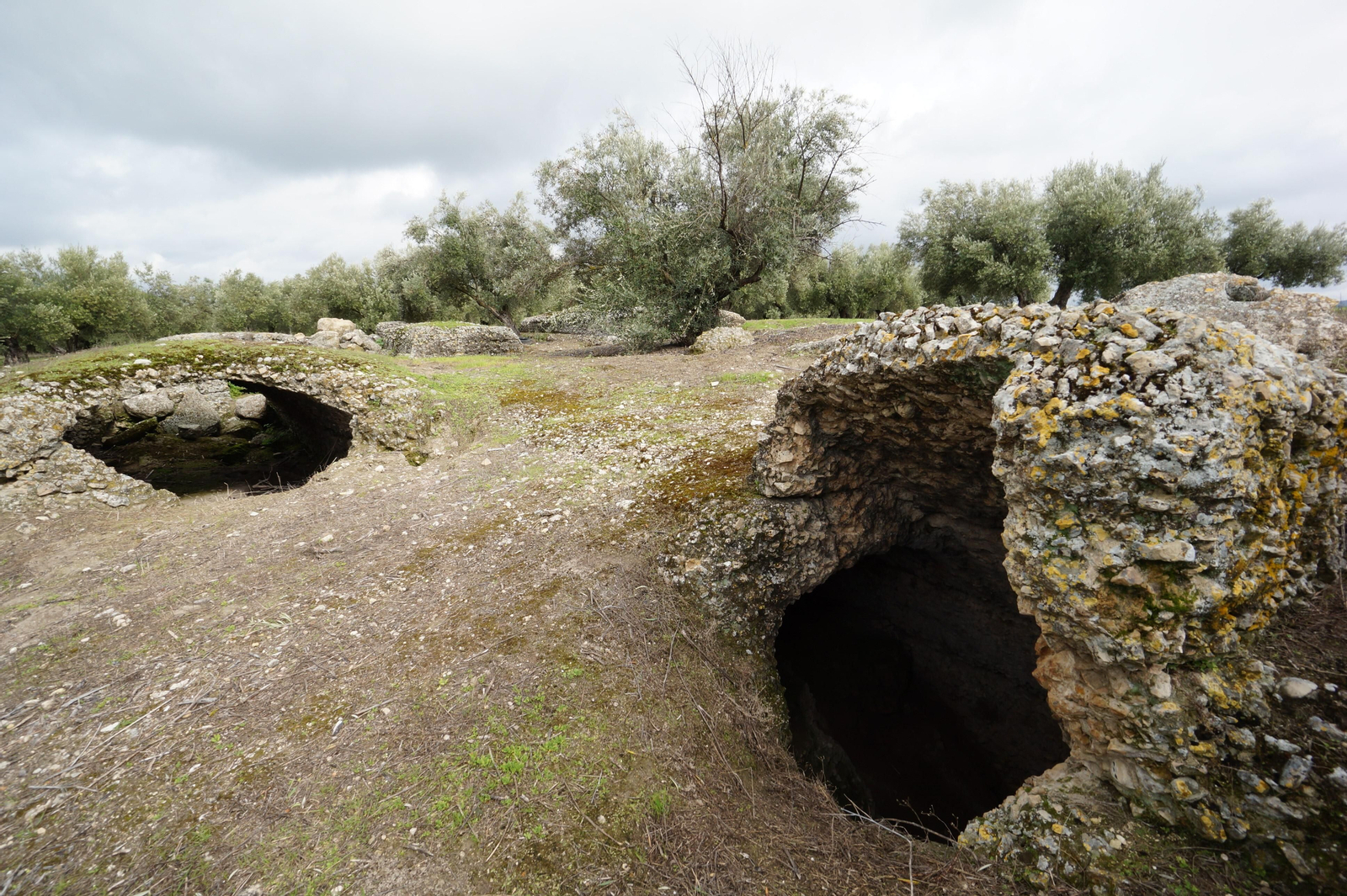 Los silos romanos del Carchena en Castro del Río, en fotografías