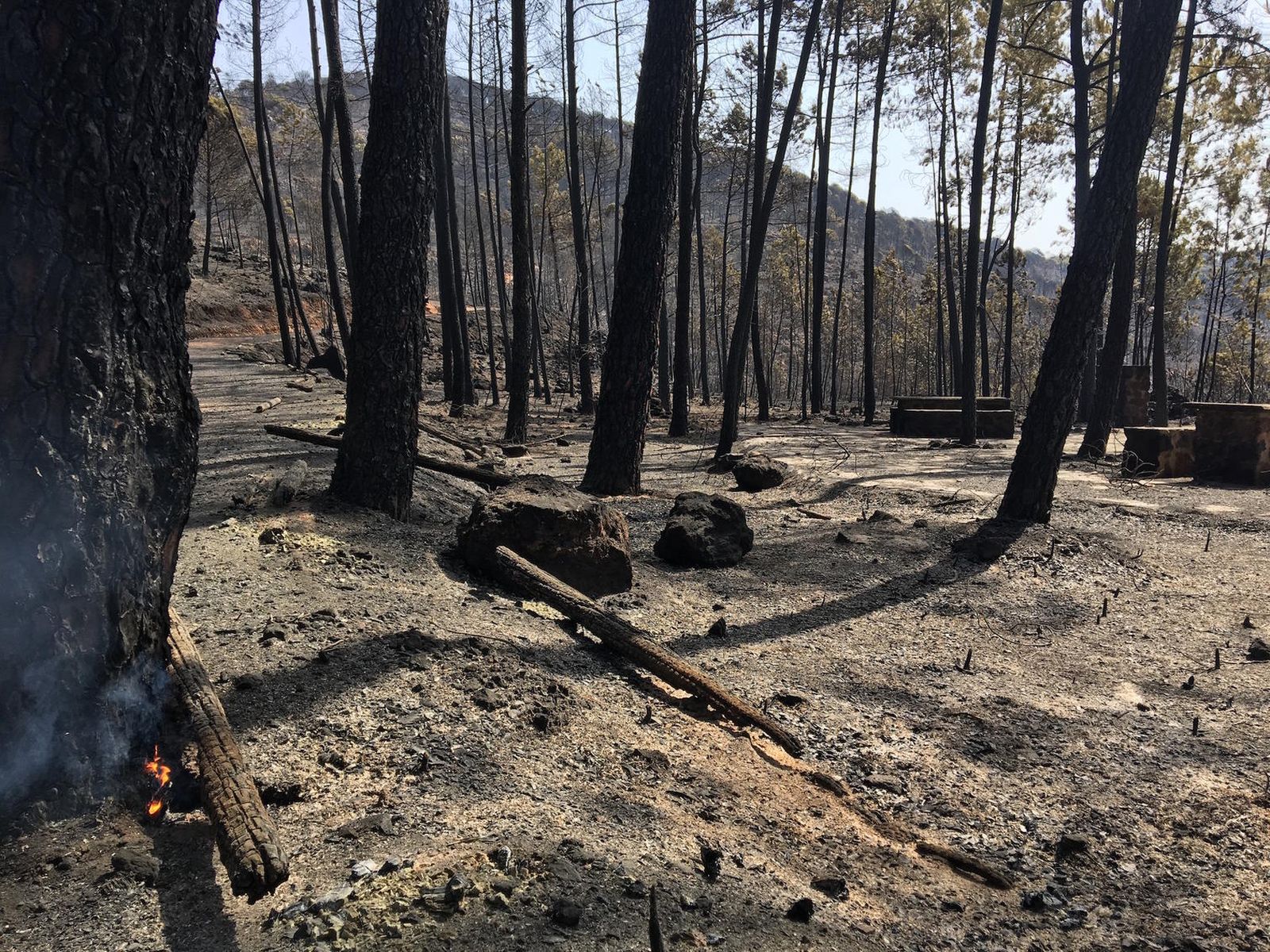 Zona del merendero de la montera de gossan en Peña de Hierro, completamente arrasada por el fuego, del que aún ayer quedaban restos.