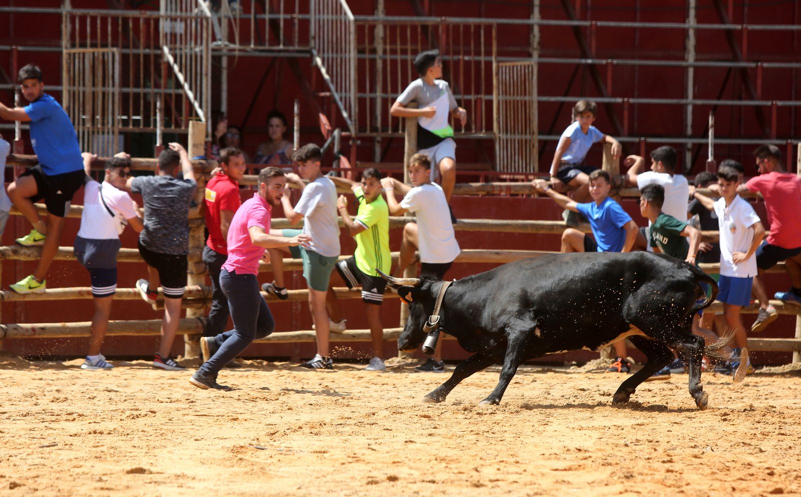 Capeas de Trigueros en imágenes