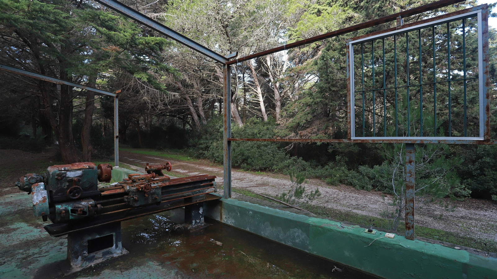 Las mejores fotos de Paloma Alta