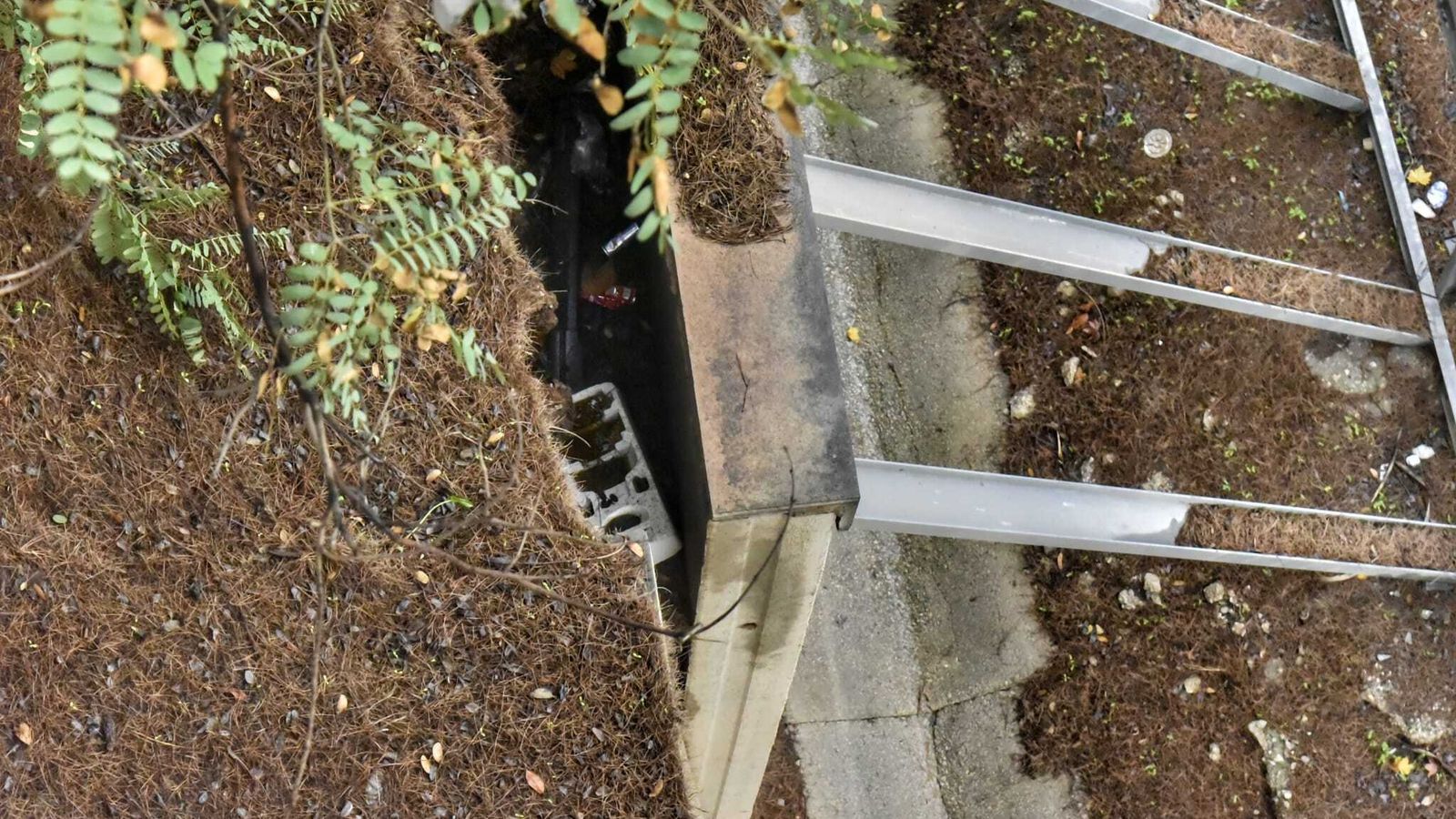 Detalle del estado del muro.