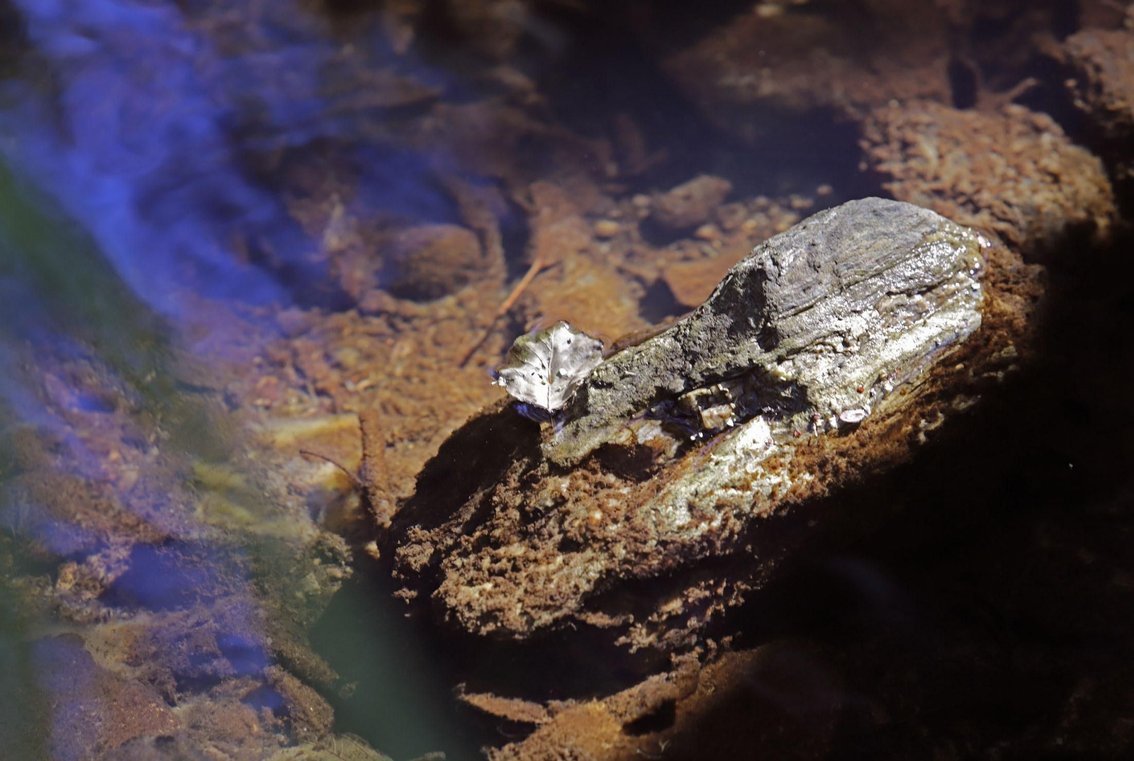 Ruta de Senderismo Charco Malo