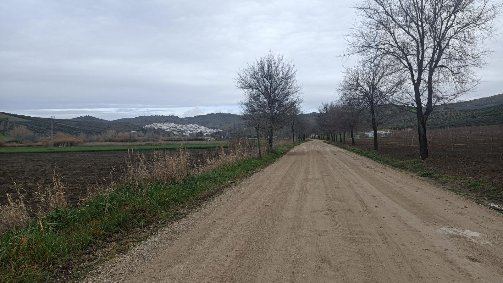 Aproximación a Torre Alháquime