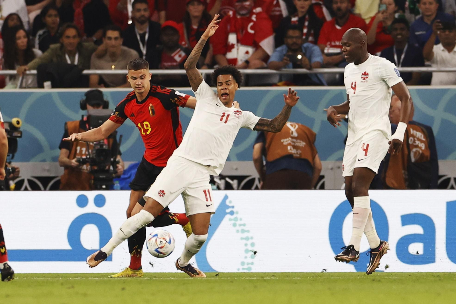 Las imágenes del Bélgica - Canadá en el Mundial de Qatar