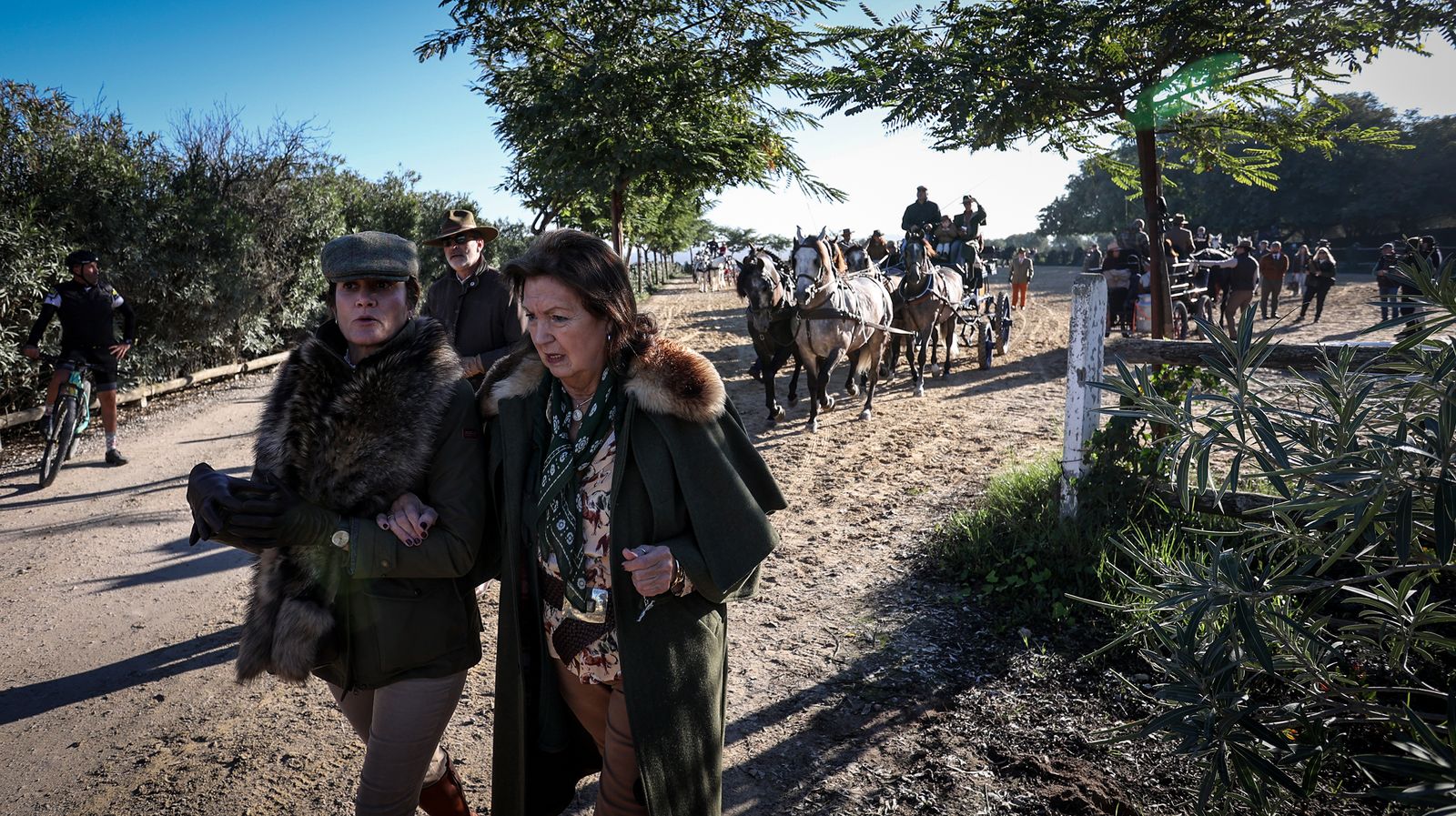 I Ruta de Carruajes Viñas de Jerez