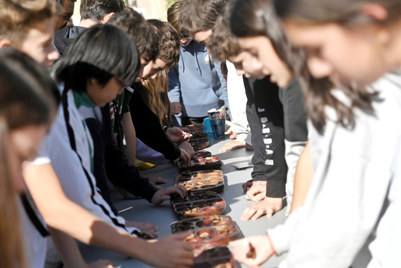 Córdoba celebra su Feria de la Solidaridad