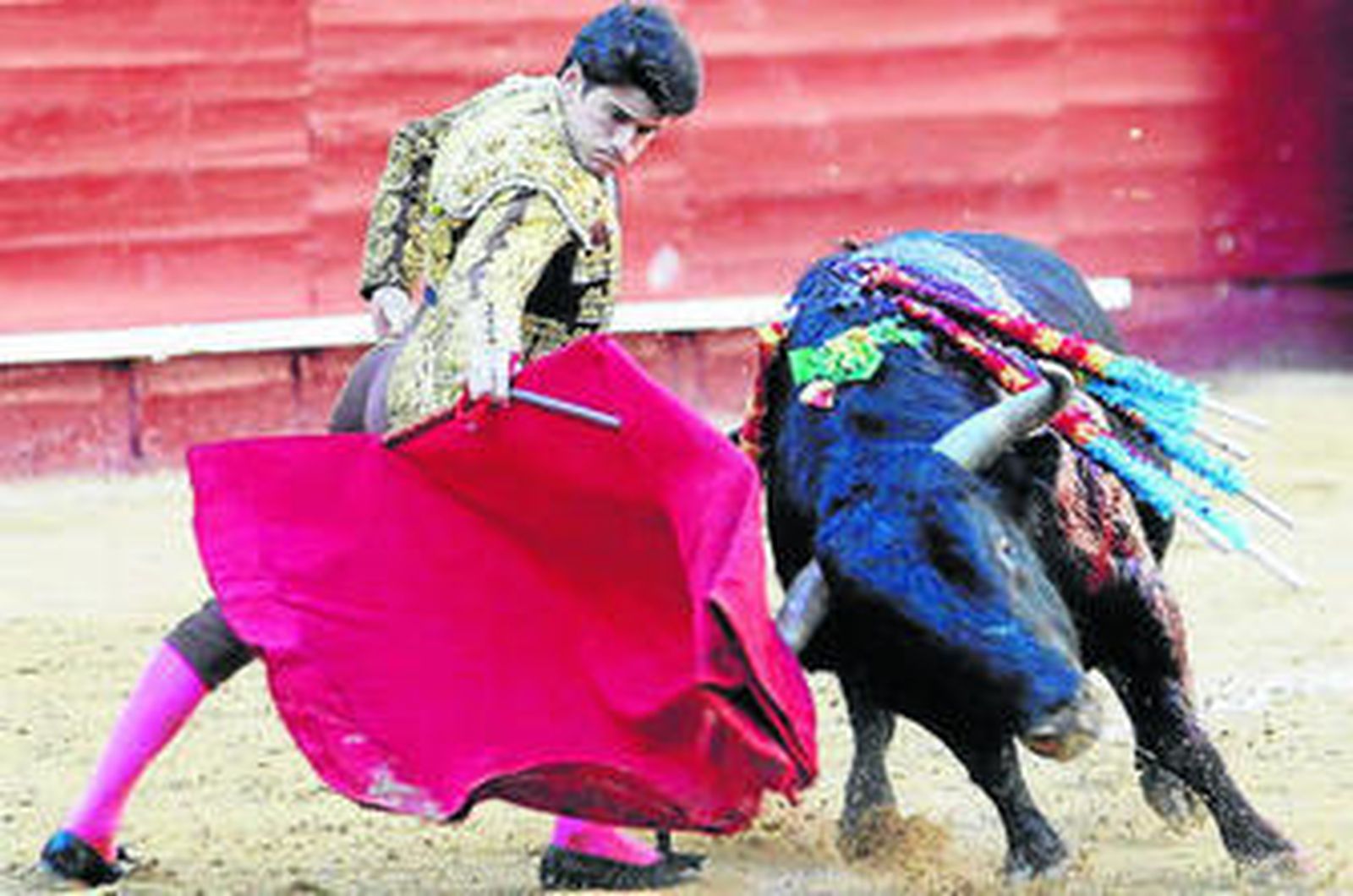 El novillero José Garrido, en un muletazo, líder de su escalafón.