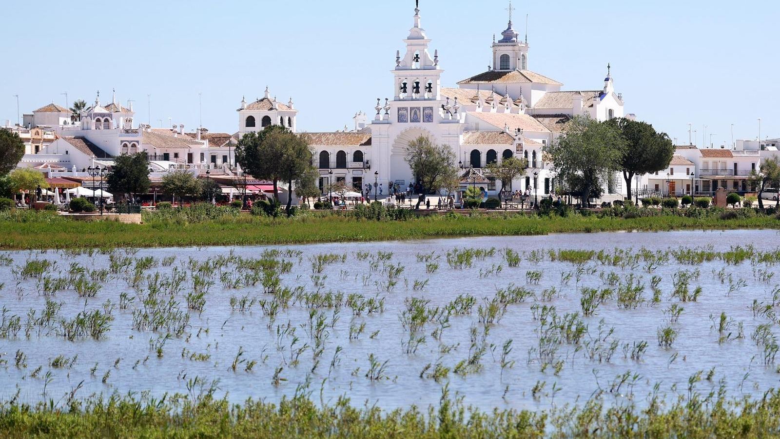 El Rocío lleno de vida y con la marisma llena de agua El Rocío lleno de vida y con la marisma llena de agua
