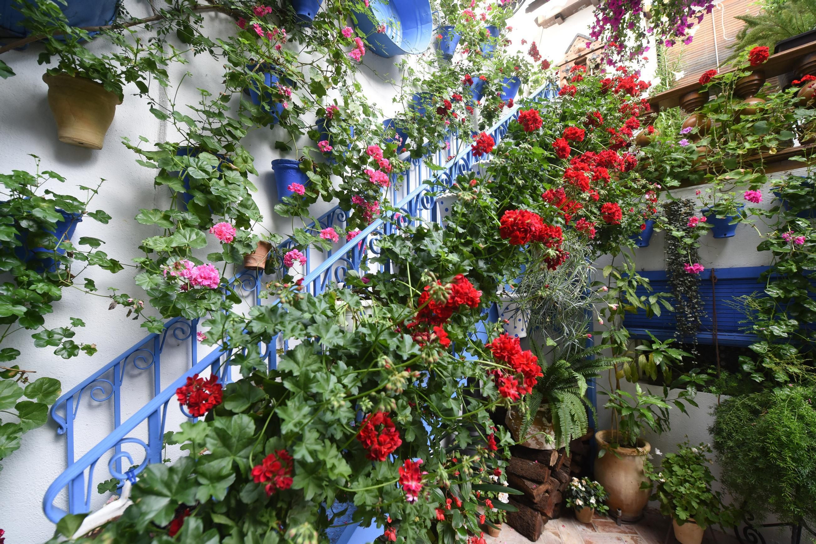 Los Patios de la ruta de San Lorenzo, en imágenes