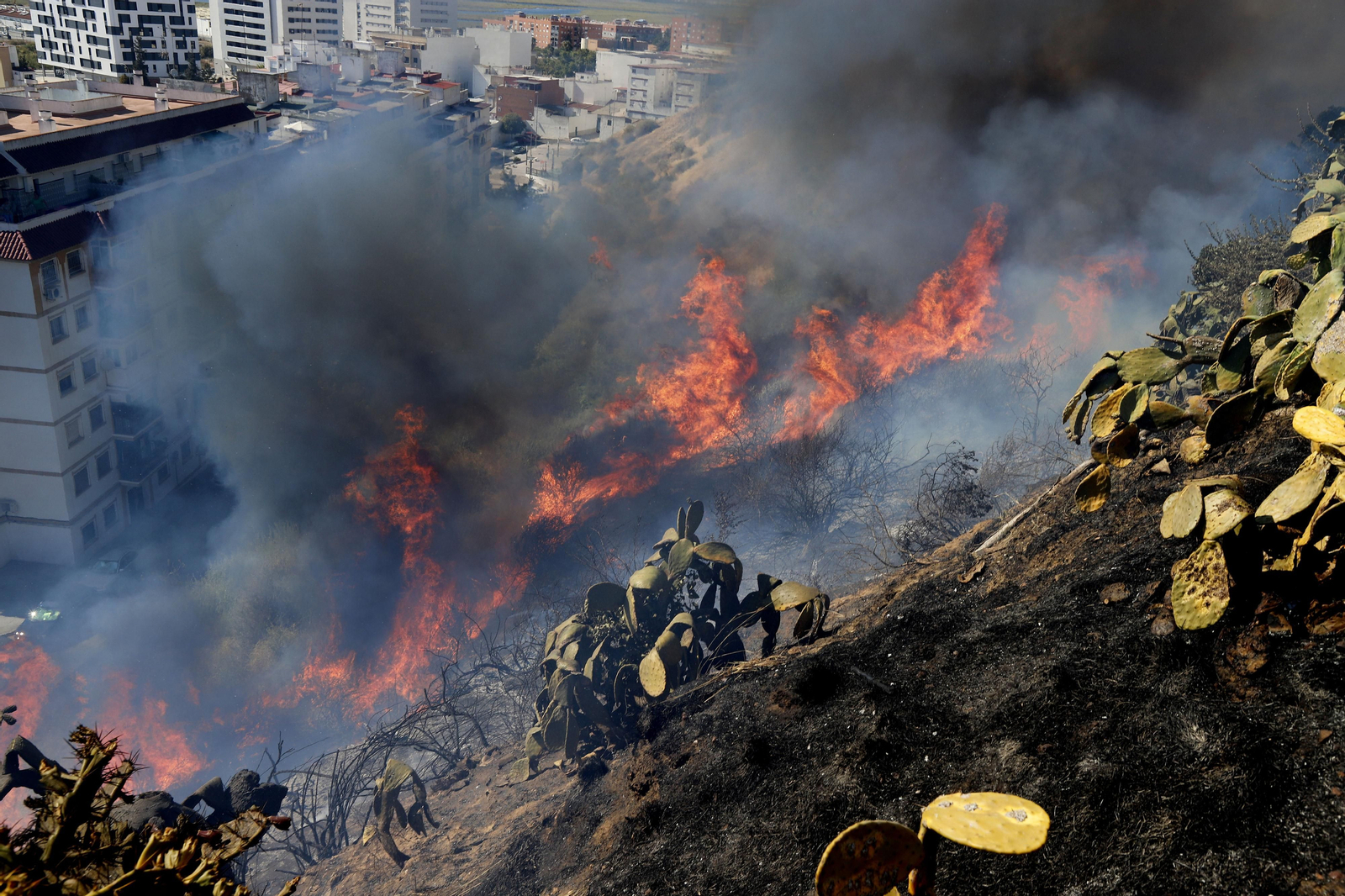 Imágenes del espectacular incendio en las laderas del Conquero