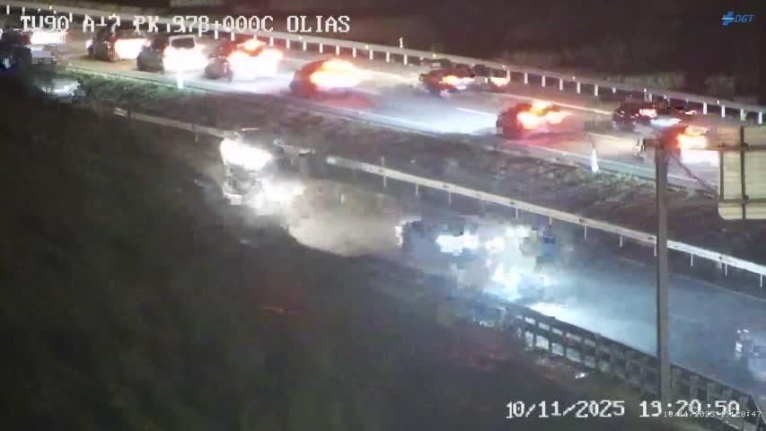 El atropello de un jabalí en la A-7 provoca retenciones de cuatro kilómetros en la entrada a Málaga