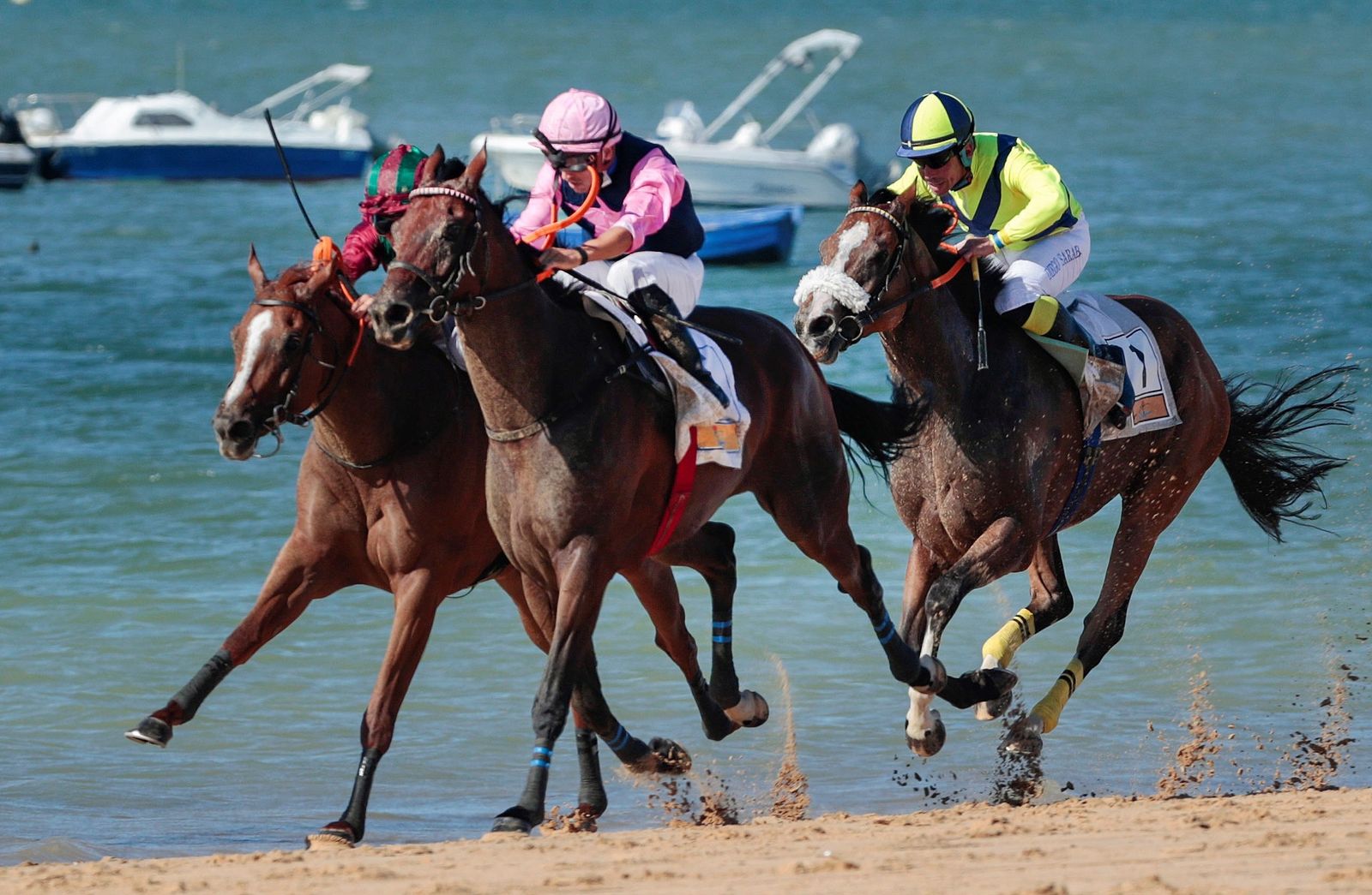 Carreras de caballos del primer ciclo.