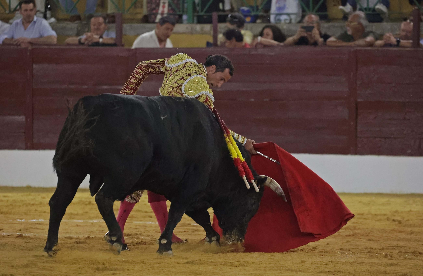 Fotos de la corrida del viernes de la Feria de La Línea: Morante de la Puebla, Talavante y David de Miranda Fotos de la corrida del viernes de la Feria de La Línea: Morante de la Puebla, Talavante y David de Miranda