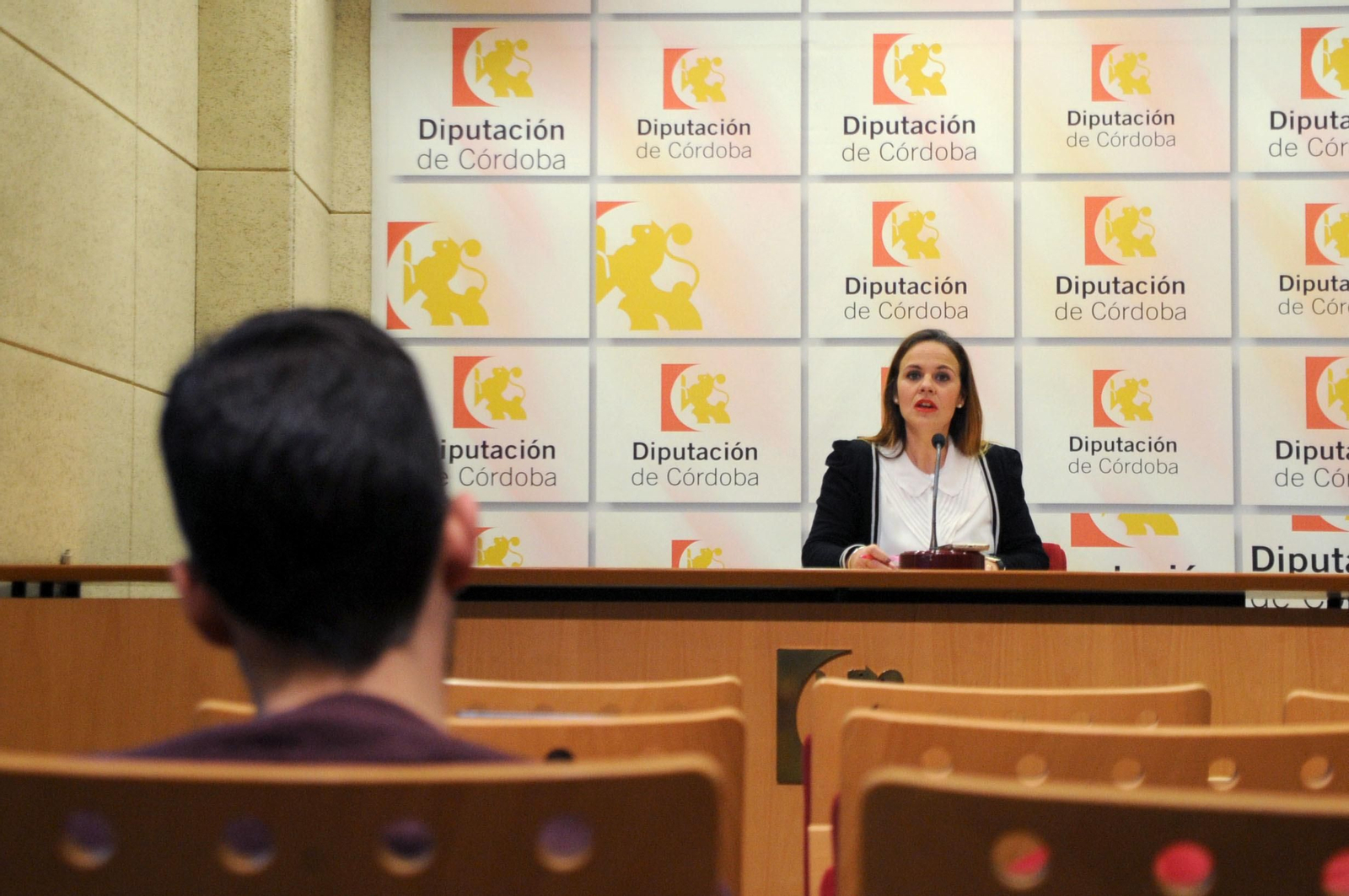 La diputada provincial Aurora Barbero, durante su comparecencia.