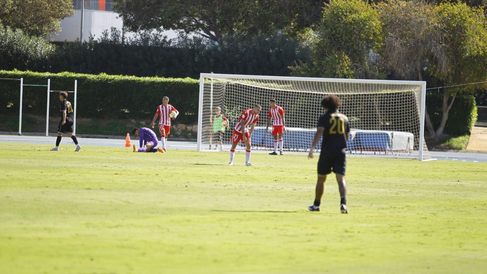 Los rojiblancos se lamentan después de un tanto encajado frente a los malagueños.