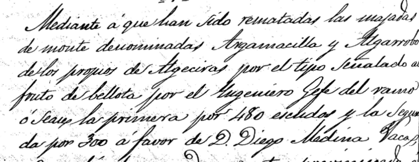 Remate de los montes propios de Algeciras.