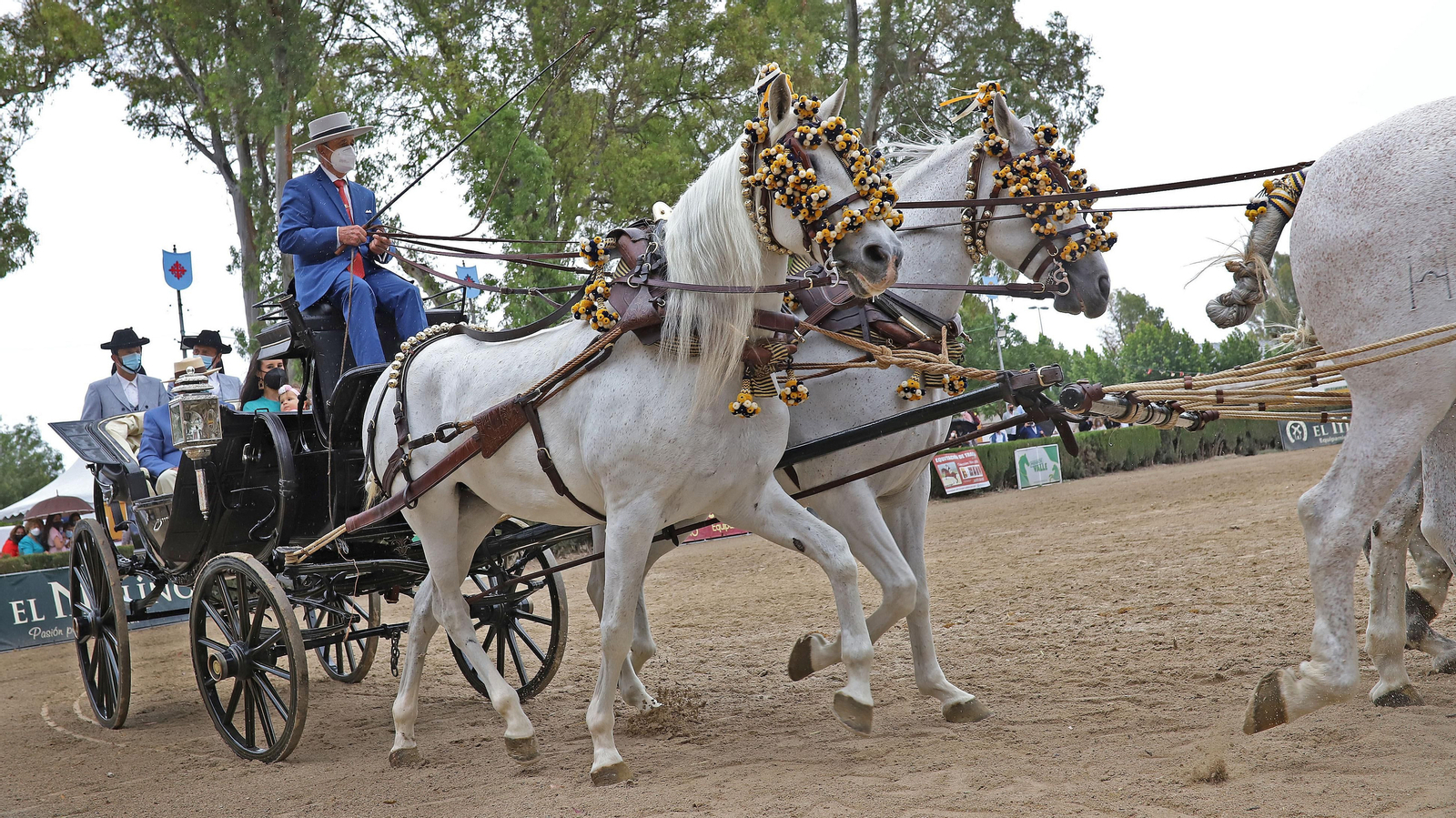 Entrega del Caballo de Oro 2020 al cochero Antonio Carrasco