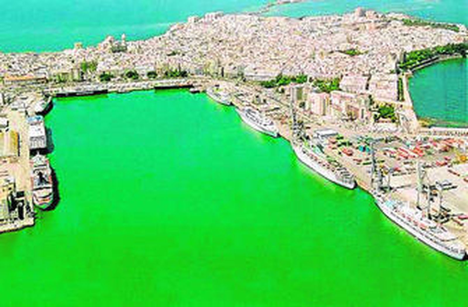 La dársena de Cádiz busca su especialización en el tráfico de cruceros.