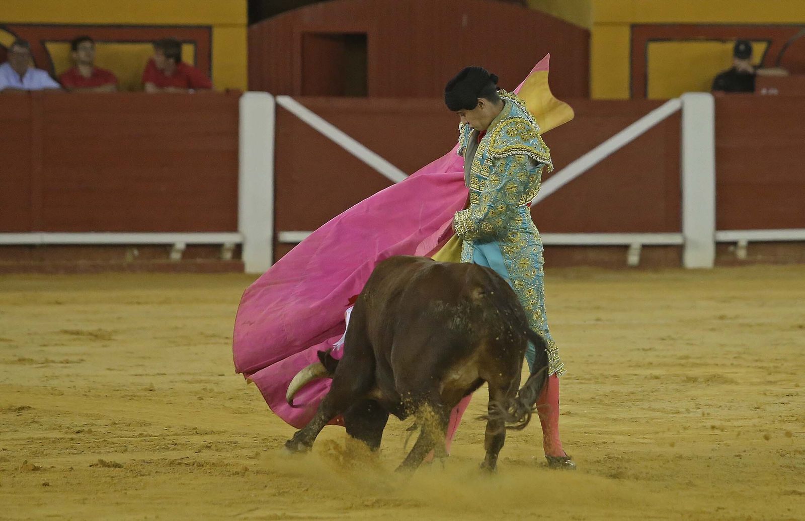 La novillada de Miguelín que abre la feria de Algeciras, en imágenes