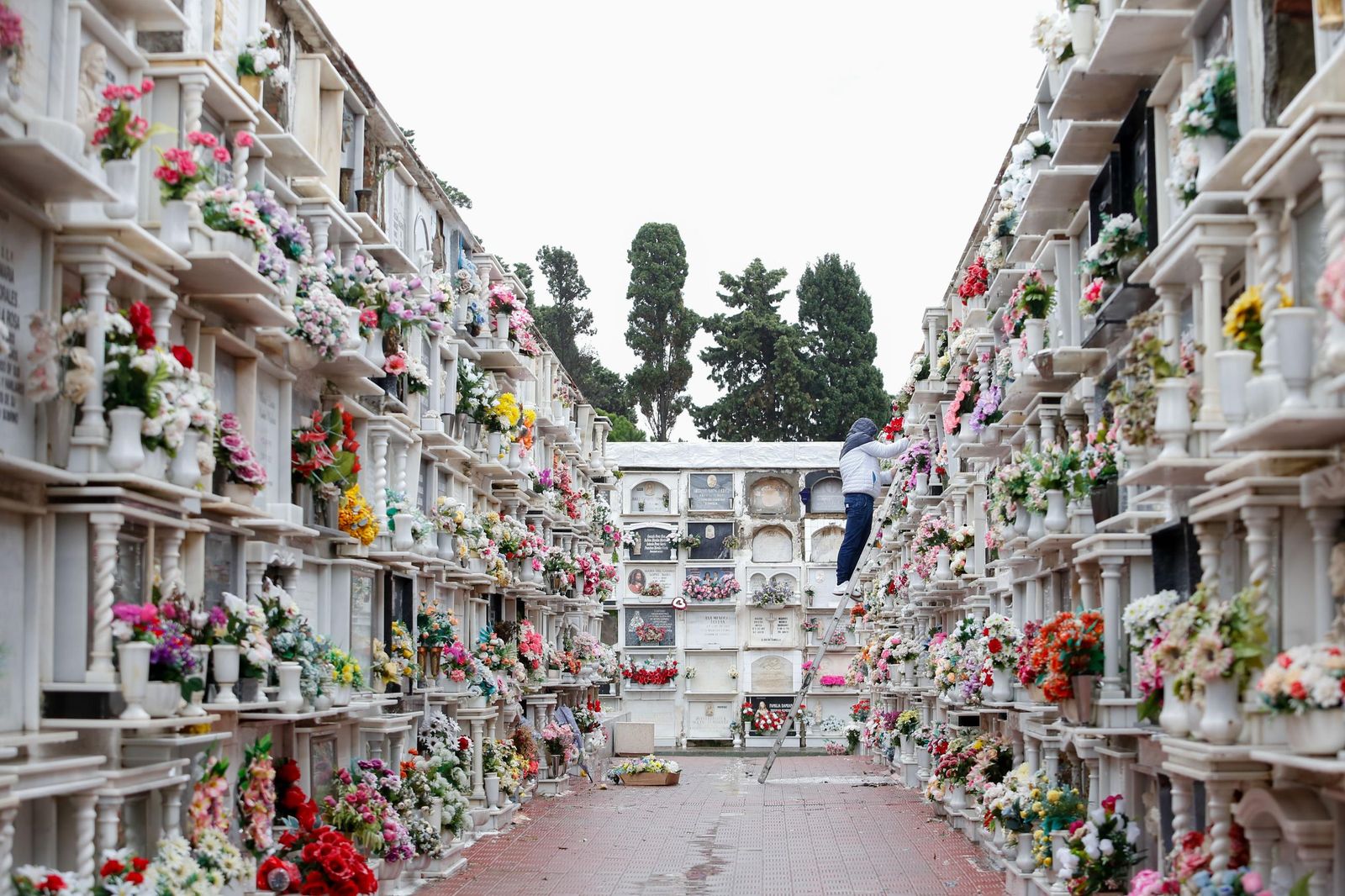 Fotos de los preparativos en el cementerio de La Línea por el Día de Todos los Santos