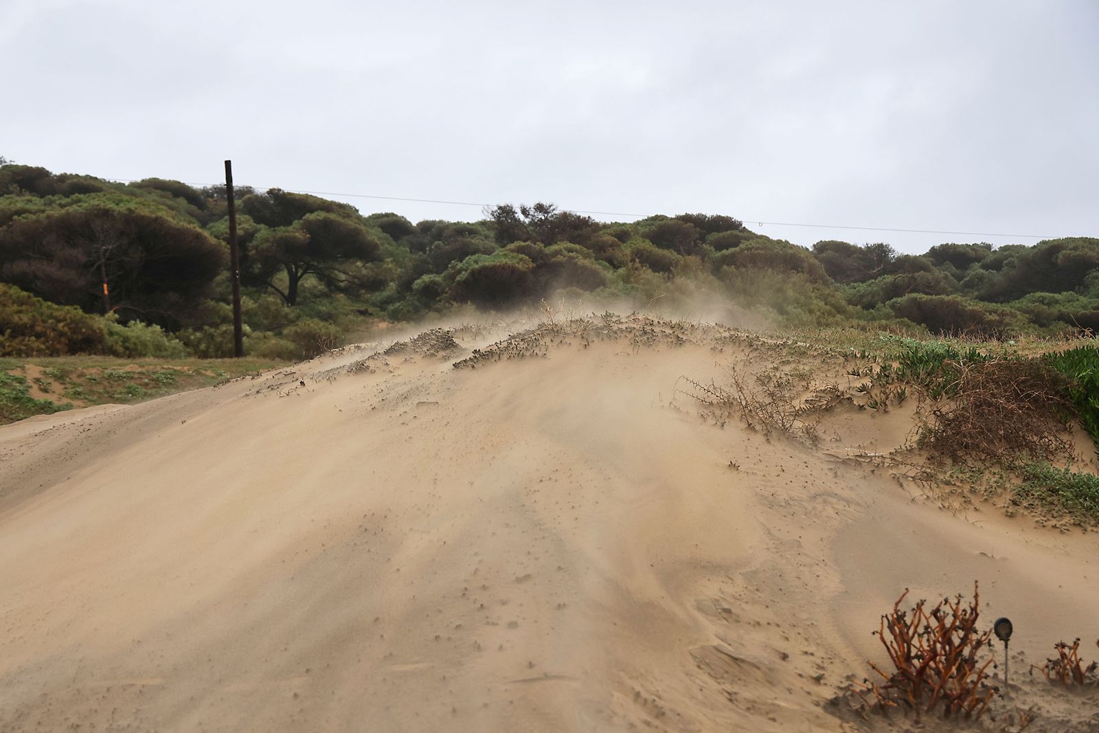 Las Fotografías de los daños ocasionados por la borrasca Leonardo en la playa de La Bota