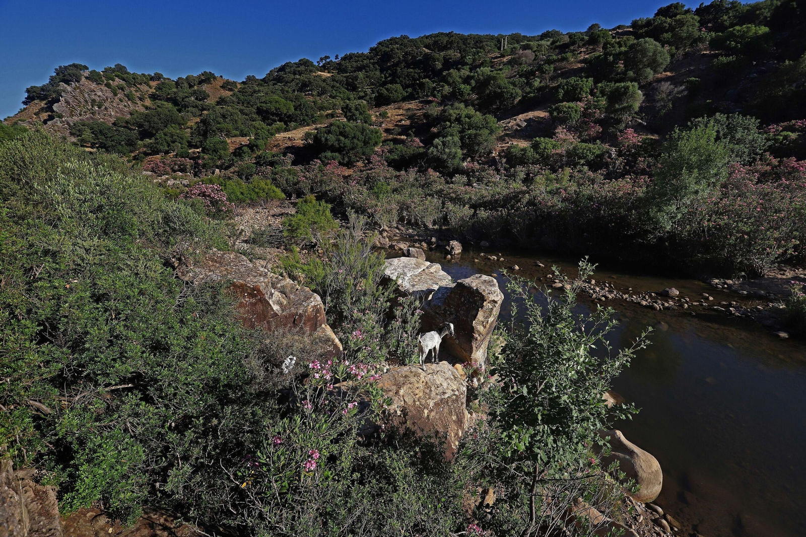 Ruta río Hozgarganta Ruta río Hozgarganta