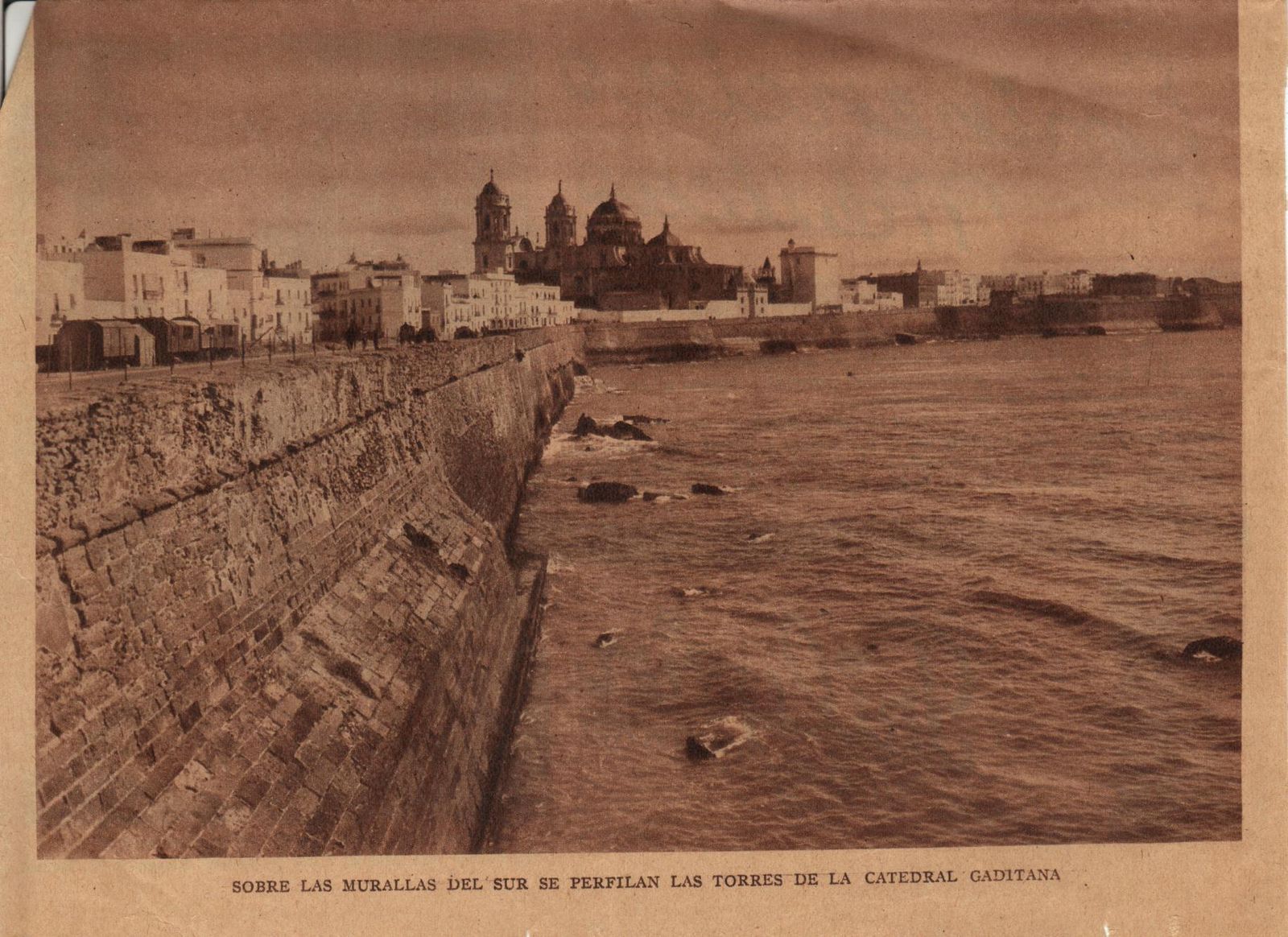 Cuando no había párking en el Campo del Sur... y sí vacas y toros