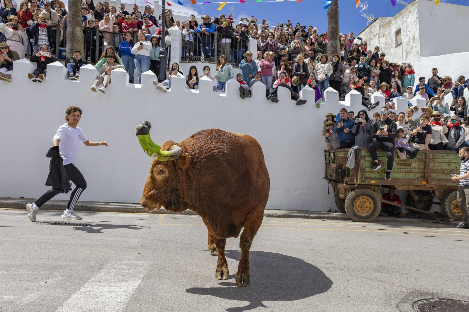 Las imágenes del Toro Embolao de Vejer 2025