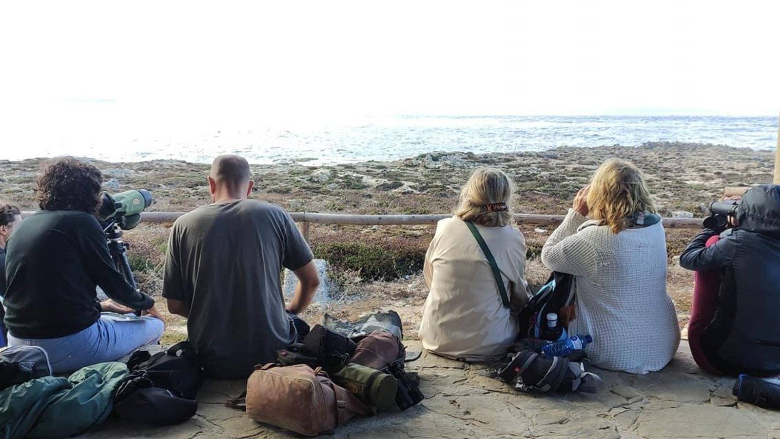 Planes en Cádiz: Despedida de las aves migratorias