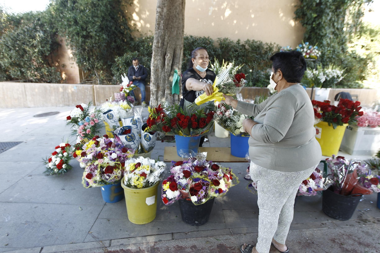 Fotogalería Día de Todos los Santos. Cementerio de San José. Almería
