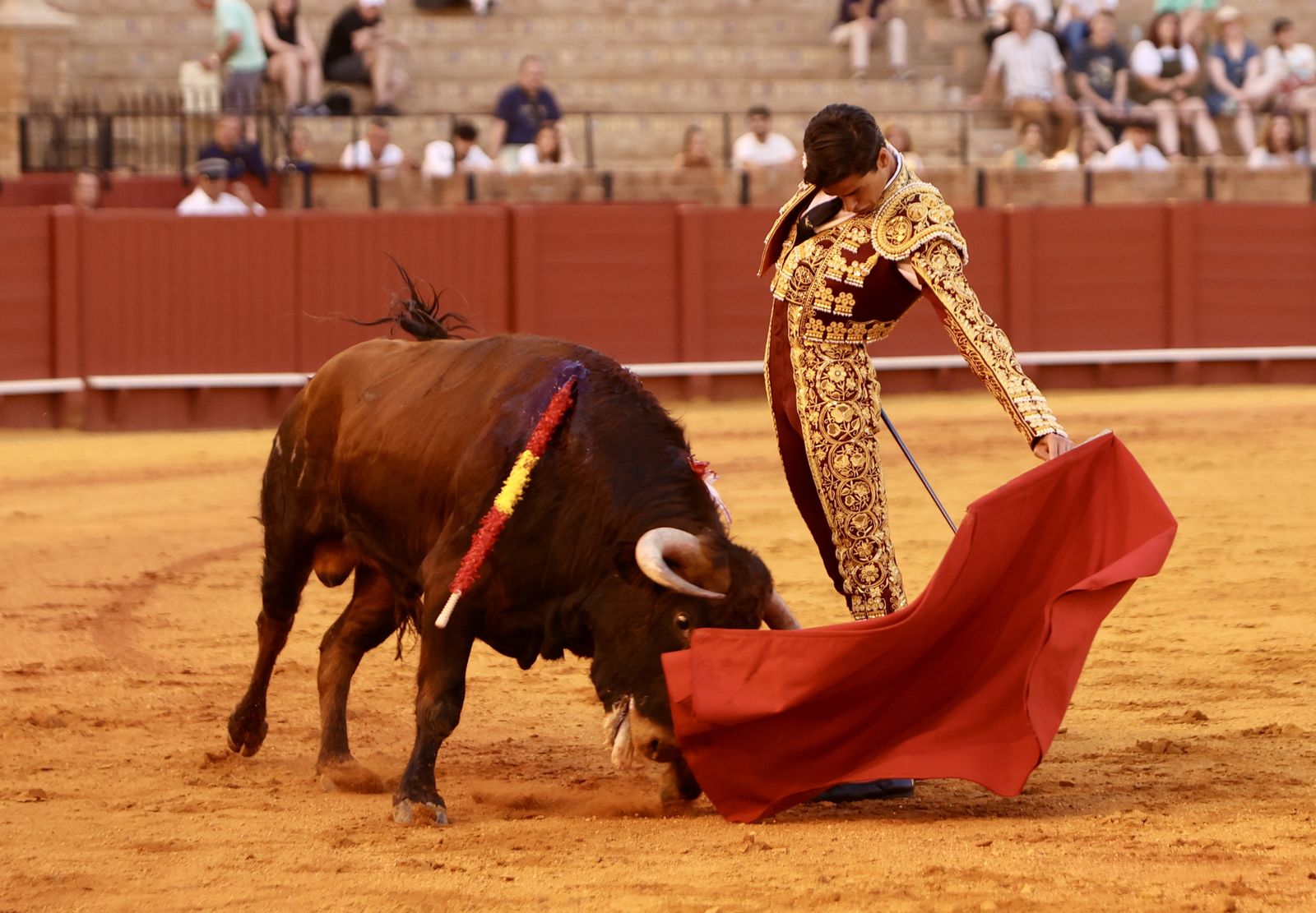 Novillada El Melli, Aarón Palacios y Manuel Jesús  Carrión