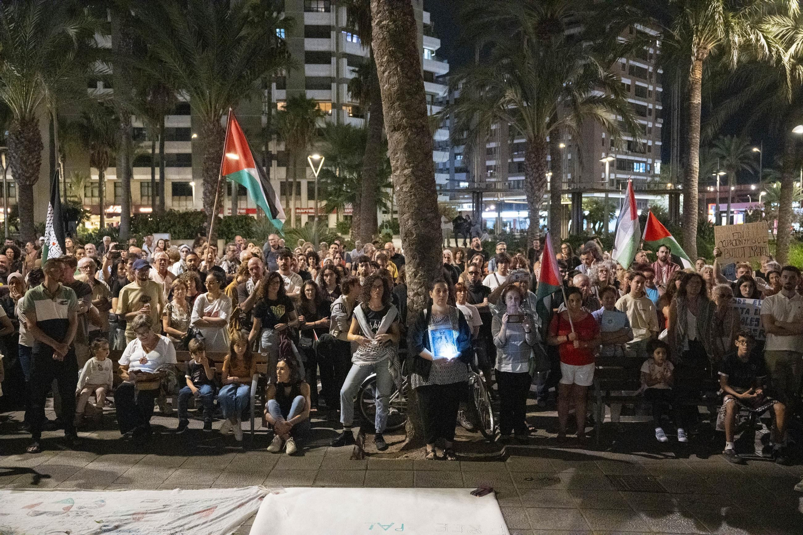 La Plataforma Almería por Palestina se manifiesta por la situación en Gaza, en imágenes