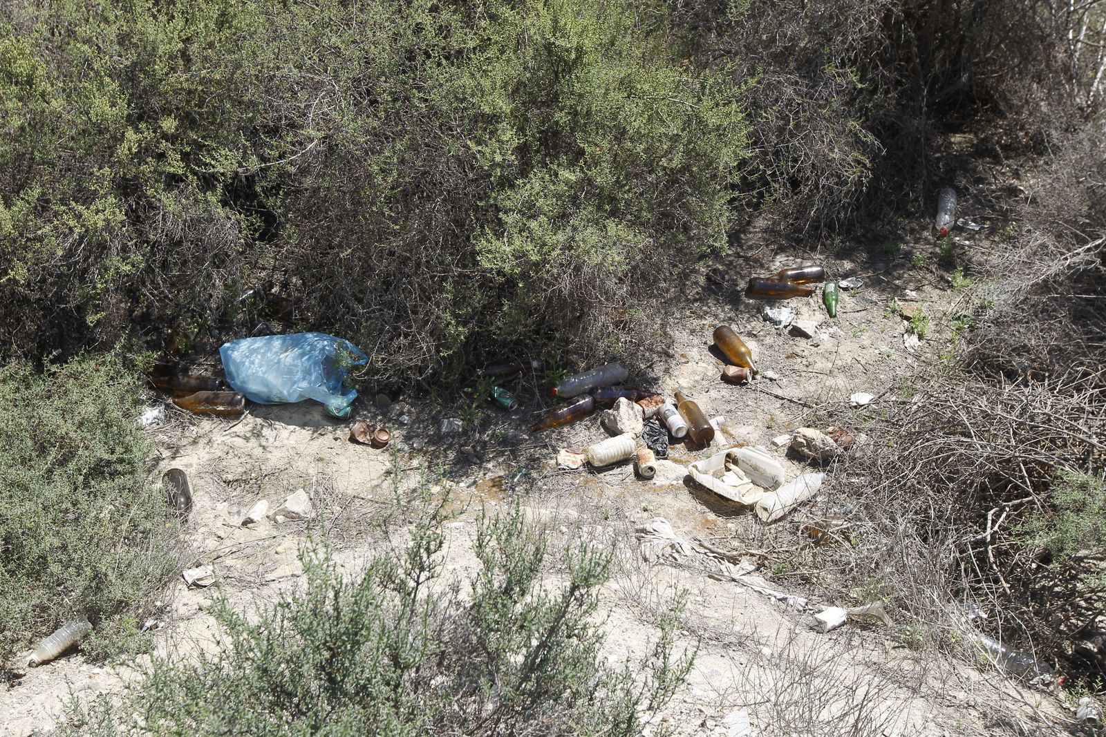 Fotogalería basura en el Desierto de Tabernas