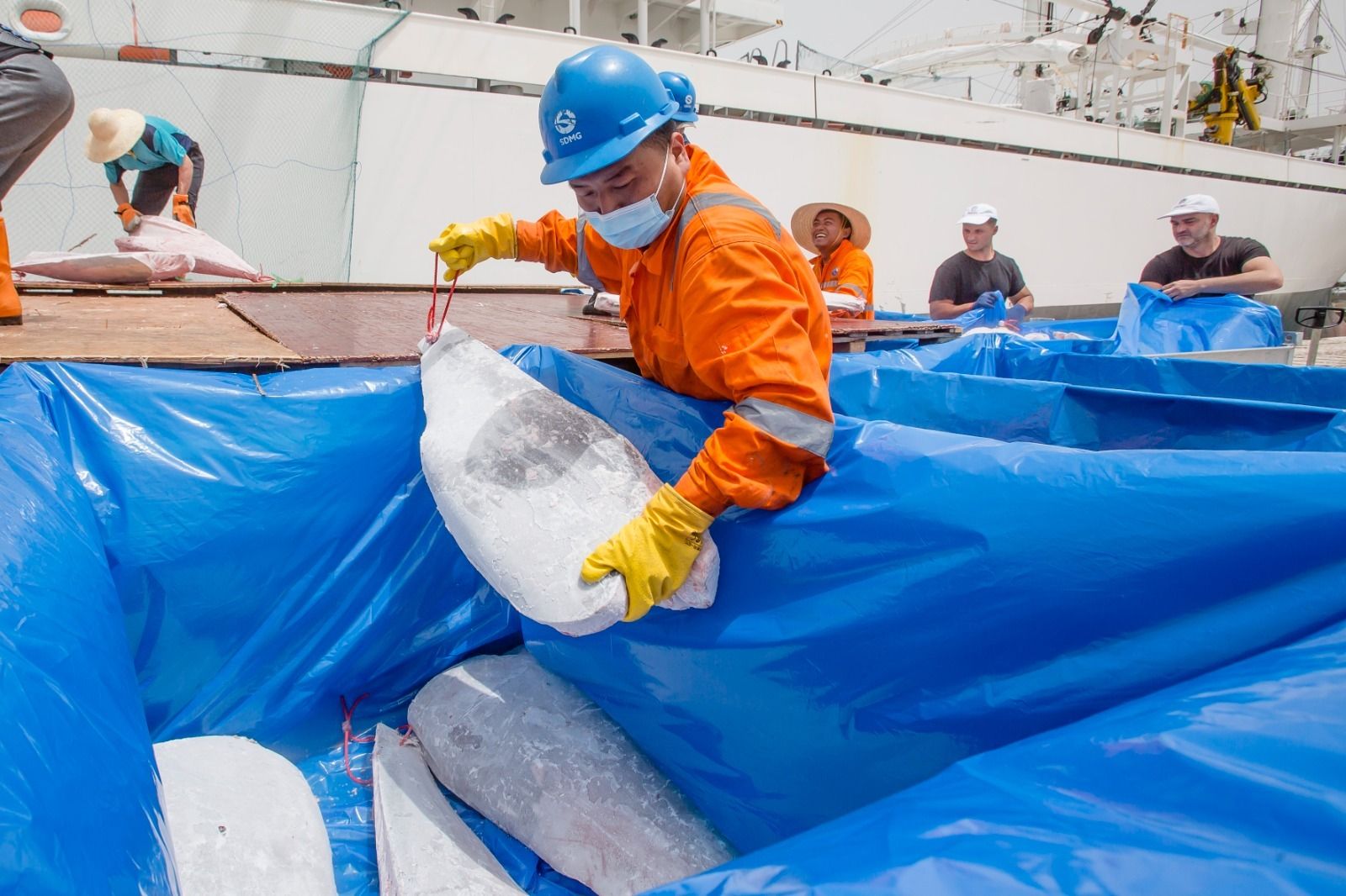Petaca descarga cinco toneladas de atún de la almadraba de Barbate en la Zona Franca