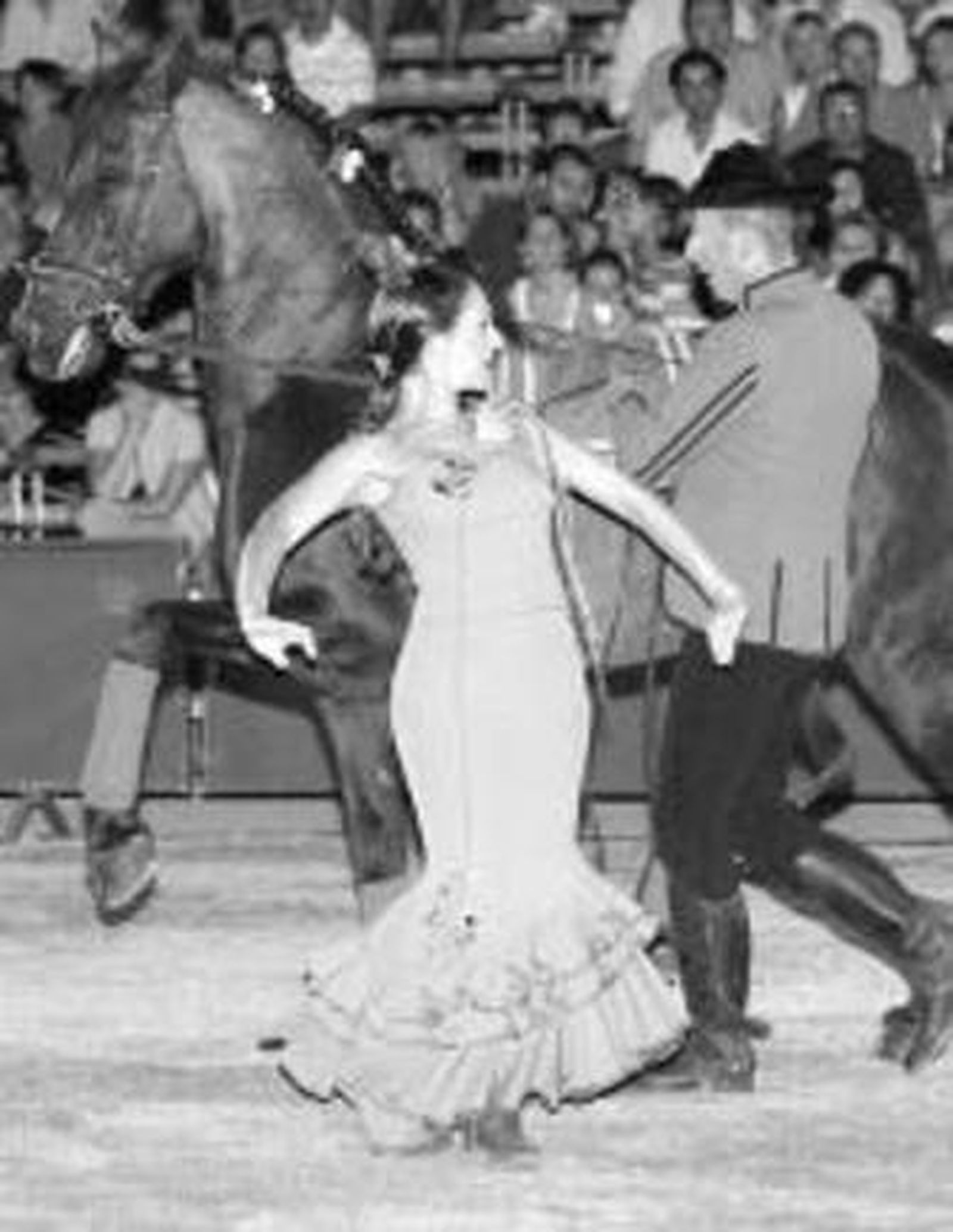 Festival de Música Puñofusión 2008La revista 'Las Leandras' en la AxerquíaVideo- Instalación 'Narke: Tragedy In Three Acts'