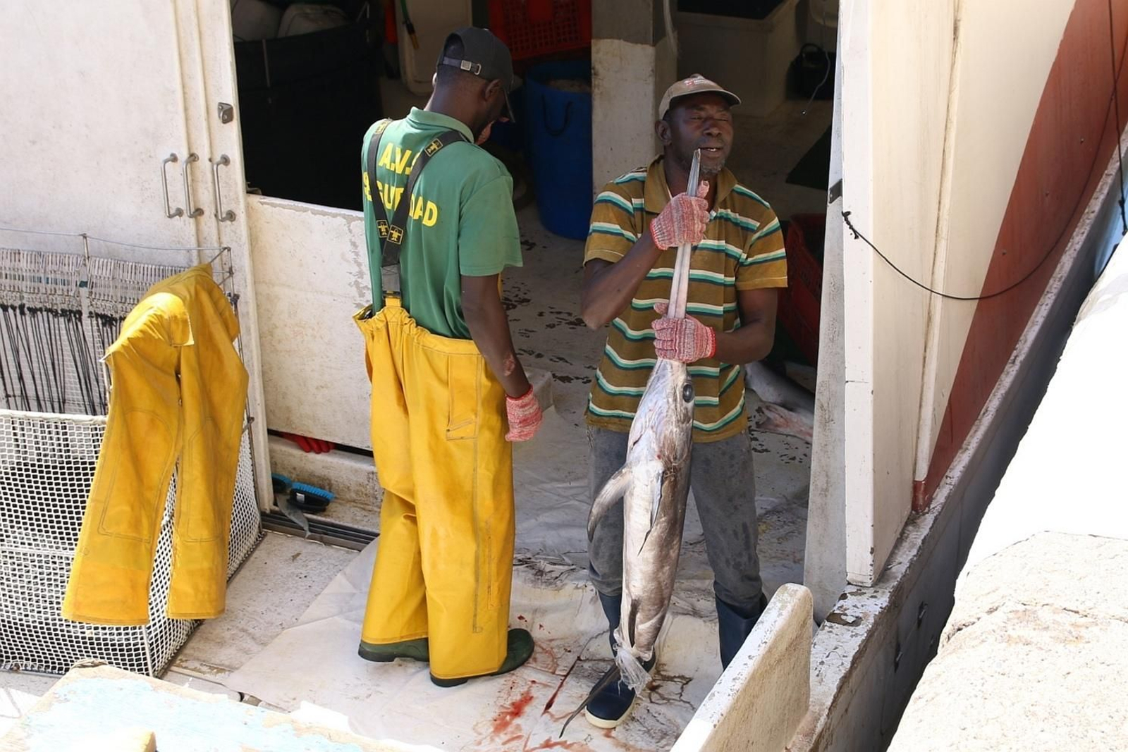 Fotogalería de la Cofradía de Pescadores de Adra