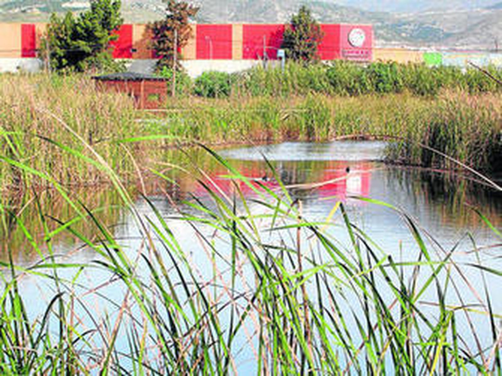 La Charca Suárez, declarada Reserva Natural.