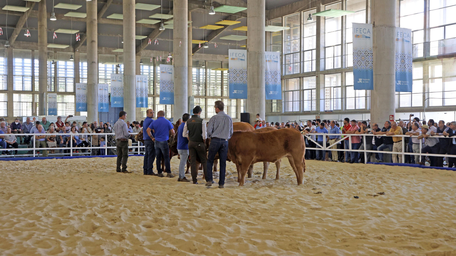 Gran afluencia de público en la clausura de Fegasur